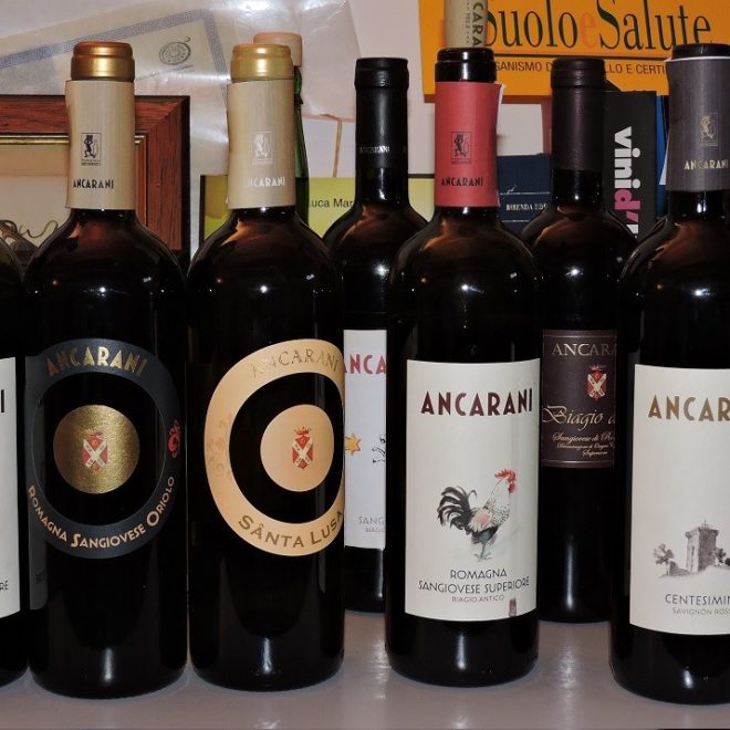 foto-ancarani-1