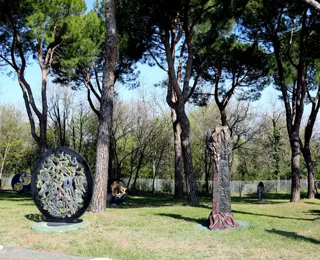 ivo-sassi-3